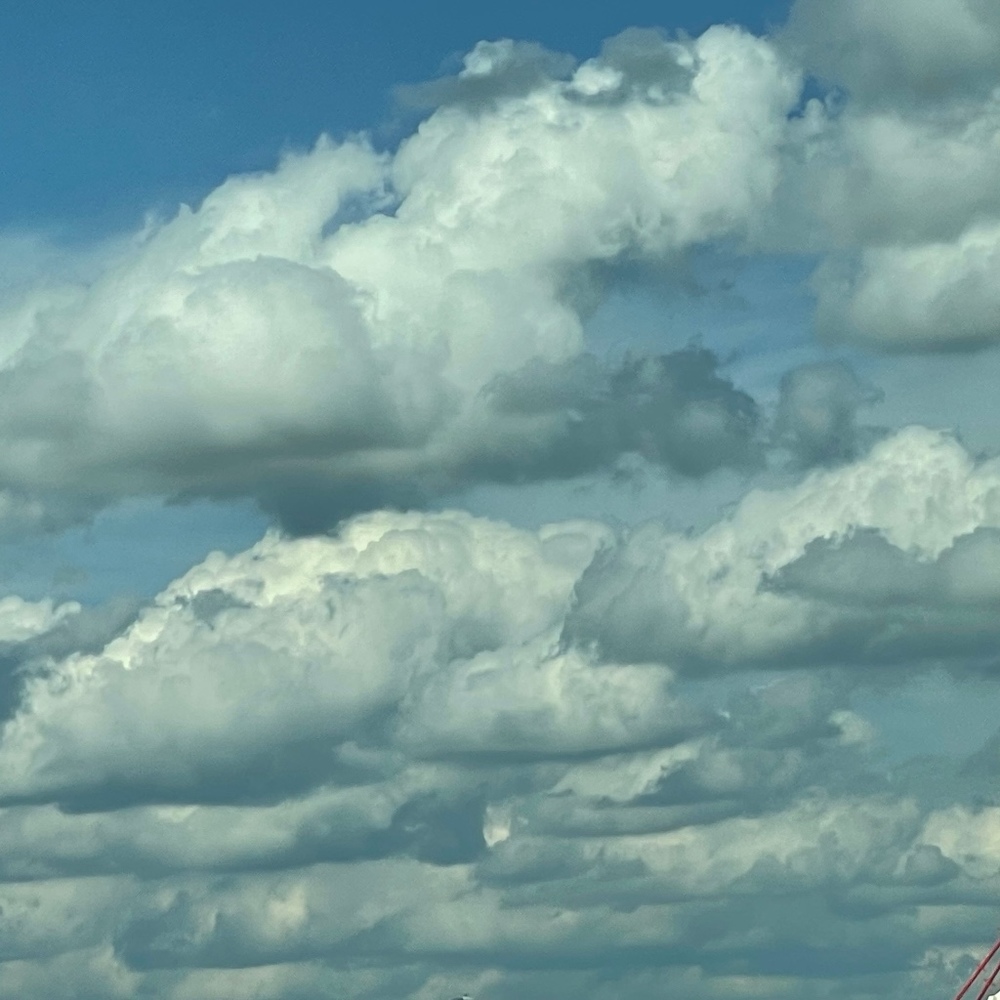 Meet your Posher, Isabella